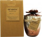 Bali Mantra Hibiscus Glass Copper Candle 500g - Kaffir Lime