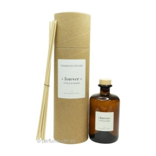 The Olphactory Forever Citrus Shades Reed Diffuser
