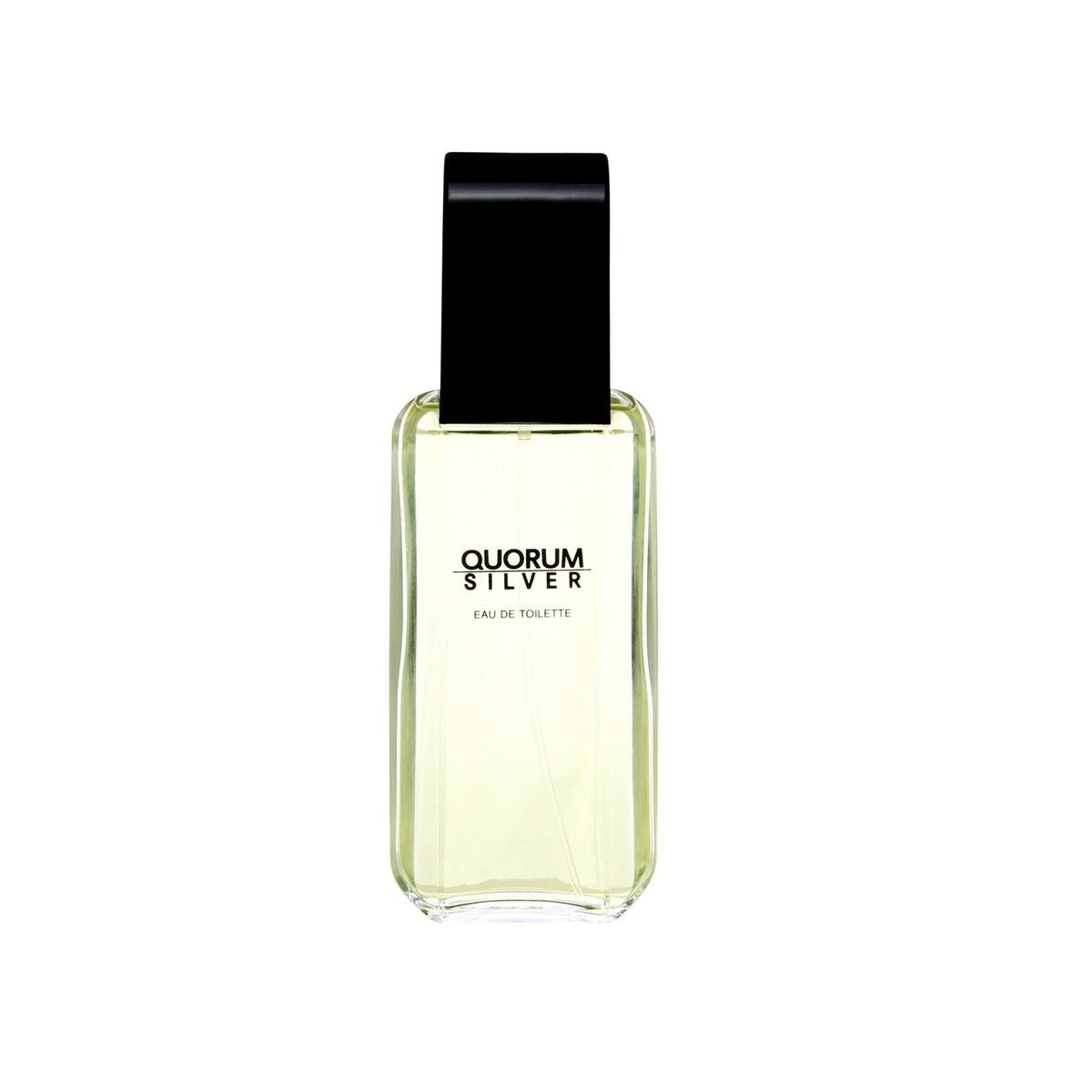 Antonio Puig Quorum Silver Eau de Toilette 100ml Spray Antonio Puig Quorum Silver Eau de Toilette 100ml Spray