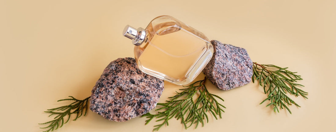 top 10 must-try fragrances