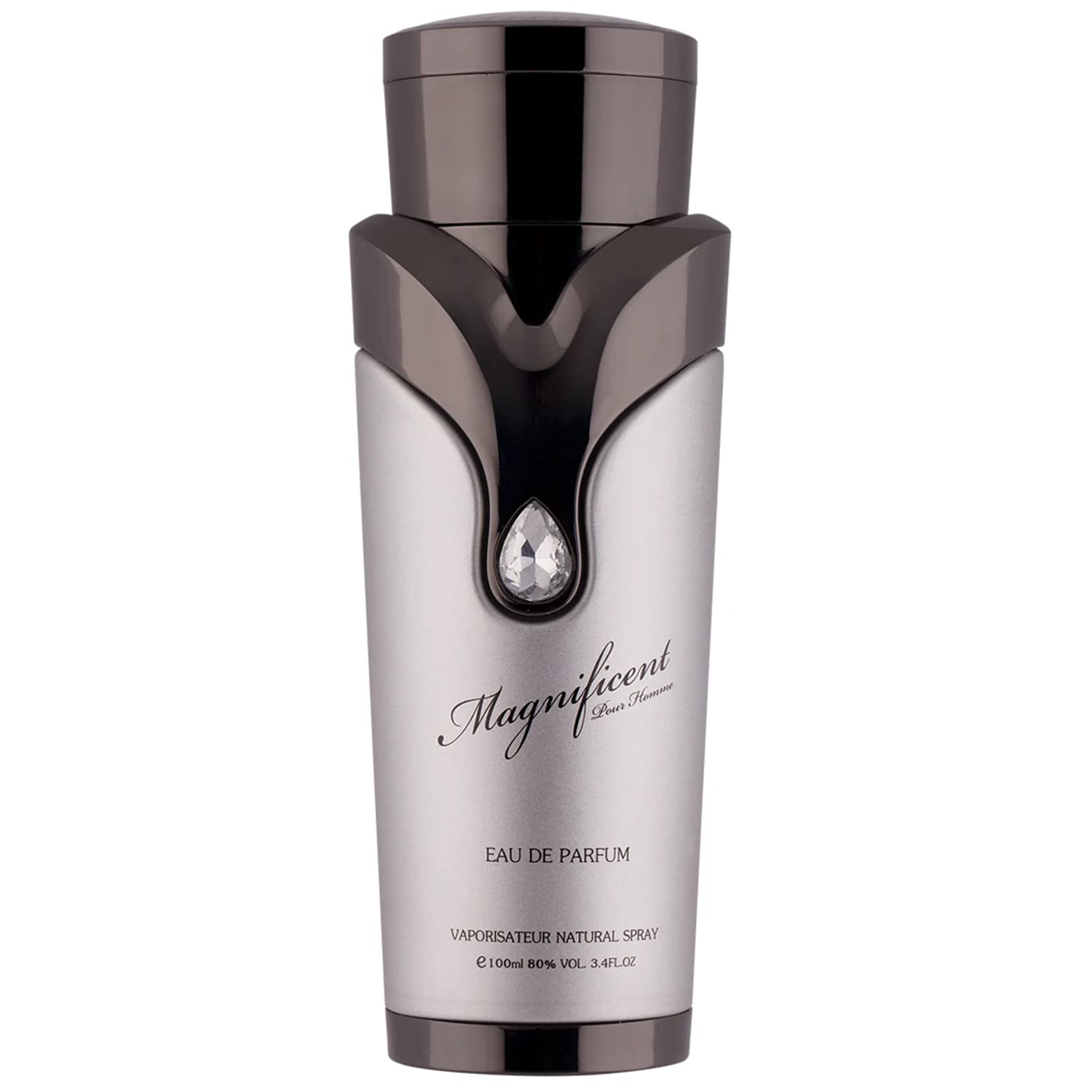Armaf Magnificent Pour Homme Eau de Parfum 100ml Spray