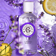 Roger Gallet Lavande Royal Fragrant Water 100ml Spray